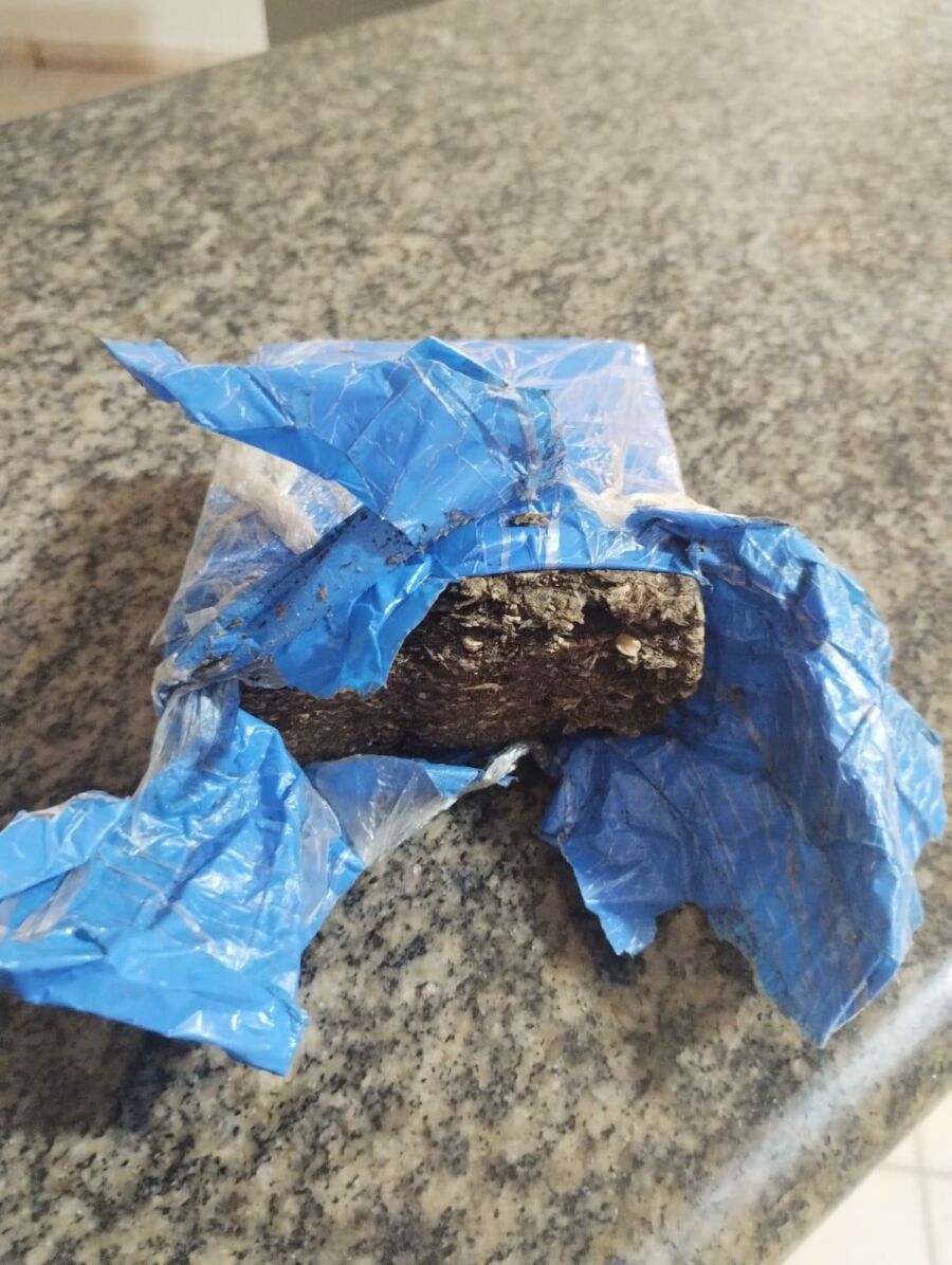 Imagem MACONHA COXIM